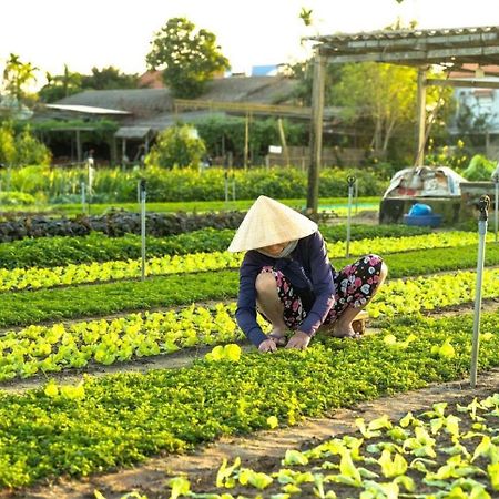 Apartmán Hoi An Cabbage Garden Exteriér fotografie